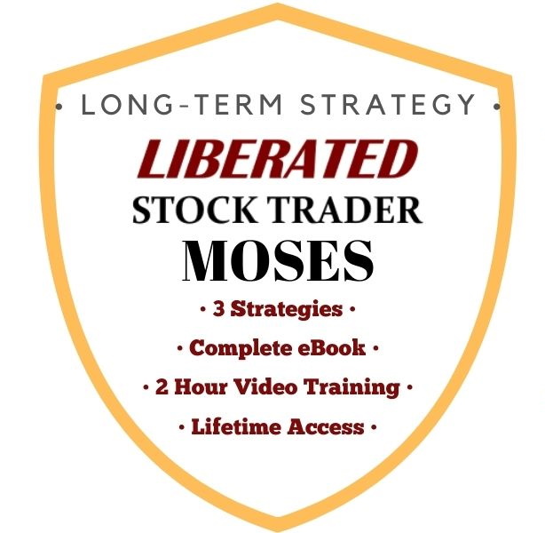 The MOSES Long-term ETF Investing Strategy