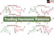 The Six Best Harmonic Patterns For Traders